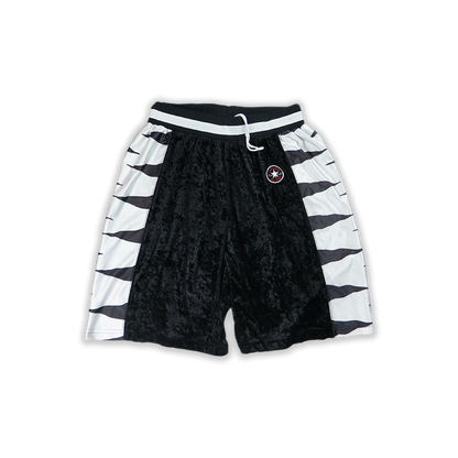Converse All Star - Large